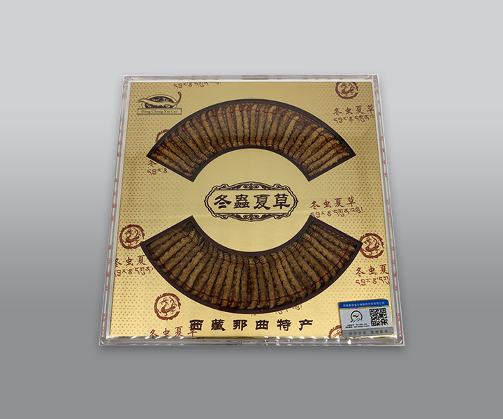 ���x(ch��ng)�Ĳ�